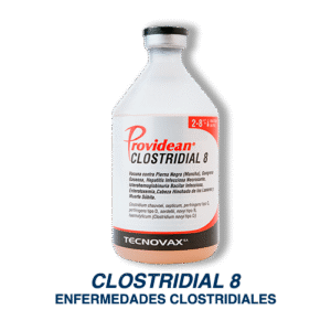 1 CLOSTRIDIAL 8 500 x 500 dpi