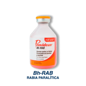 3 Bh-RAB 500 x 500 dpi