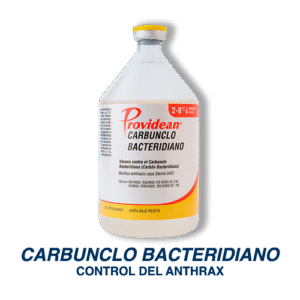 7 CARBUNCLO 500 x 500 dpi