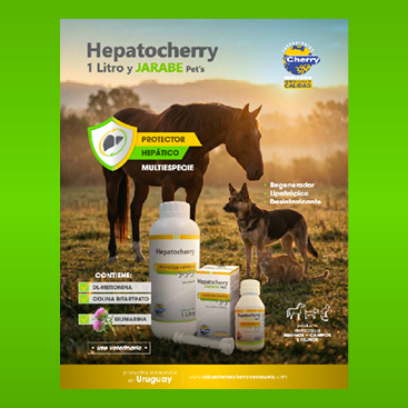 5 Portada QR HEPATOCHERRY _ Julio 01 2026
